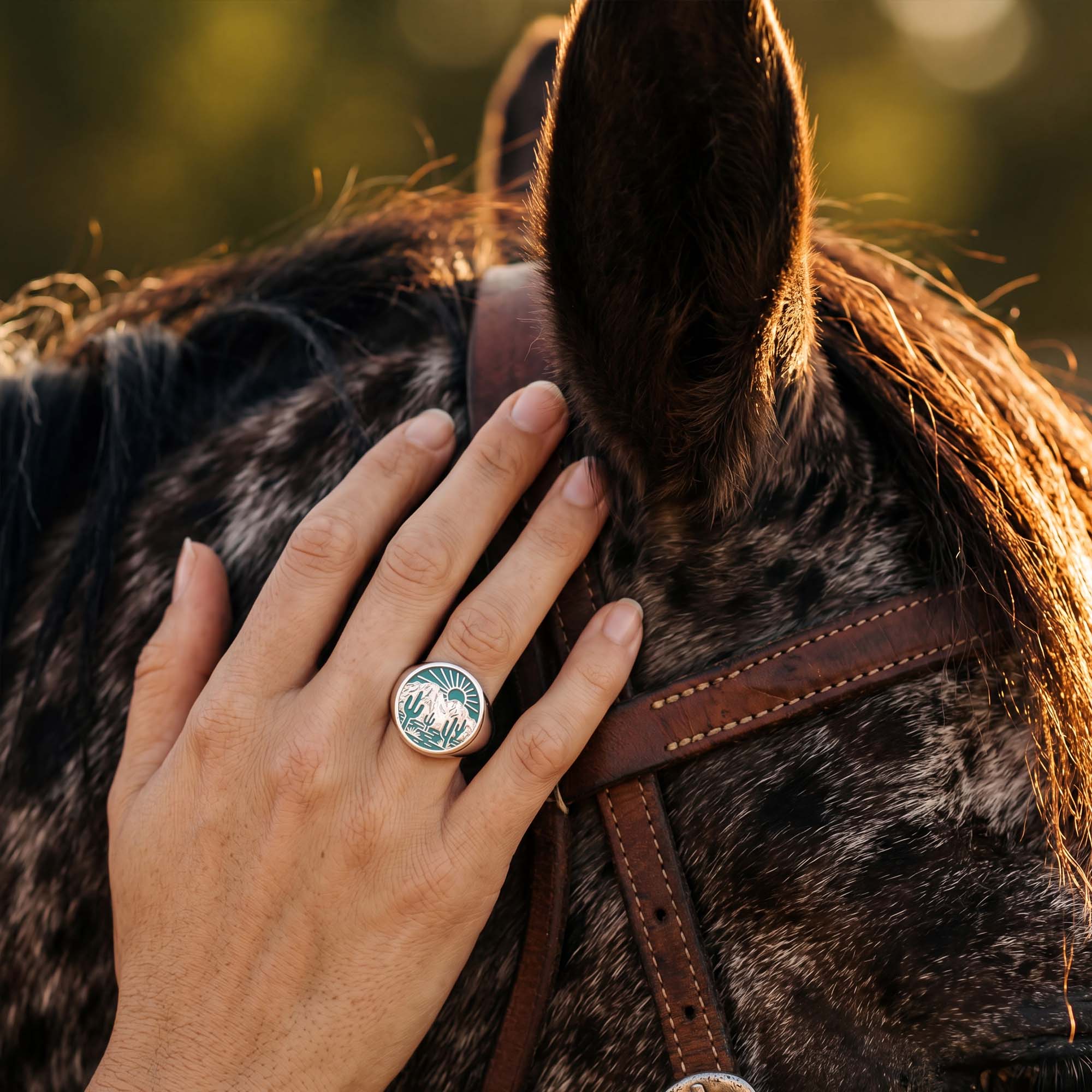 Desert Mesa Ring 4